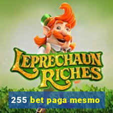 255 bet paga mesmo